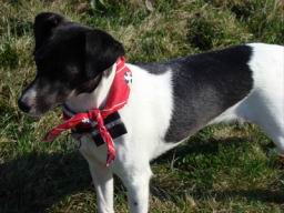 Resize of DSC06722.JPG